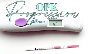 Letrozole cycle 1 OPK progression