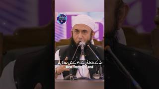 فرقوں میں بٹ کے نہ رہو🙏🏻 | Islamic Speeches | Molana Tariq Jameel | Islam-Peace Of Soul #shorts