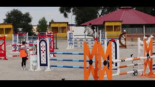 238– Sale – gelding_2014_170 cm_competition 120 cm