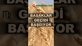 Ve başaklar geçidi başlıyor. #gökyüzününtavrı#merkürretrosu#kovadolunayı#başakburcu