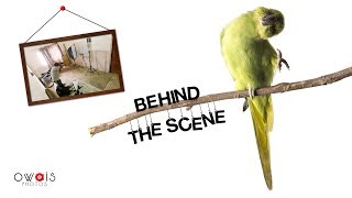 Parrot Photo Shoot BTS & Slideshow