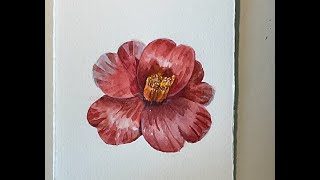 Watercolor：Camellia Japonica