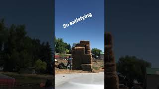 Tearing down the last of the 2023 hay. #sheep #dairysheep #farming #alfalfa #hay #haystack