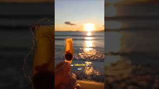 Saving a Pintarroja Shark Egg from a Deceased Mother