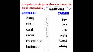 كلمات عربية مستخدمة في الصومالية-الحلقة(3)