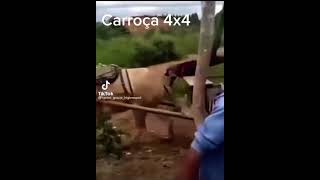 Carroça 4x4