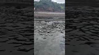 Narmada River Onkareshwar