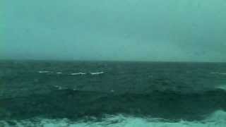 Cunard Queen Victoria - rough seas and tiny bird