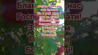 З Різдвом Пресвятої Богородиці!Вітання.Свято