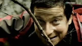 bear grylls odia i comunisti