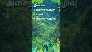 Tamil Iyarkkai kavithai🏞️🌅 / shorts👈