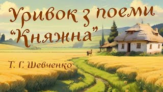 Тарас Шевченко. Уривок з поеми «Княжна»