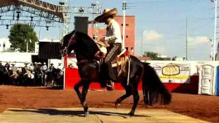 Campeonato Nacional de Caballos Bailadores en la Expo Ganadera Jalico 2011