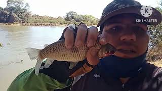 #pescaria  no Rio Grande BA, saiu muitos peixes