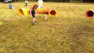 Agility hrátky BB, 24 8 2014, Naj tunelár, Zdenka Vavrová a Foxy