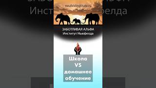 Школа или домашнее обучение? #воспитание #дети #школа #домашнееобучение