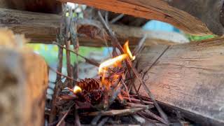 Fire Started Using a Homemade Beeswax Fire Starter