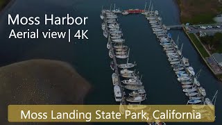 Drone Photography | Moss Landing Harbor | State Park | California | 4K