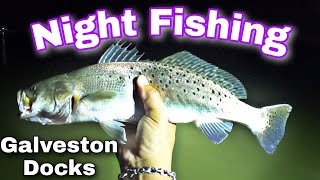 Speckled Trout Night Fishing During Summer Heat