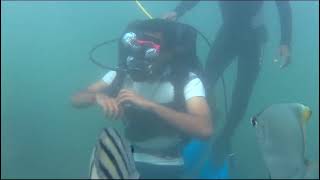 Holidays Torisum Tarkarli group Deep sea scuba diving Mr.Johan m.