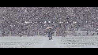 Two Hundred & Sixty Frames Of Snow: Kinefinity Terra