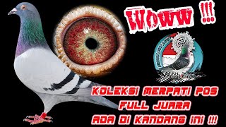 koleksi merpati pos #merpatipos