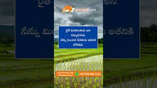 Farmer Quote | Motivational quotes Telugu II Inspirational Quotes II Telugu Quotes