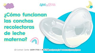 ¿Cómo funcionan las conchas recolectoras de leche materna?