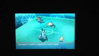 ORAS wifi battle #17: sneaky threat!