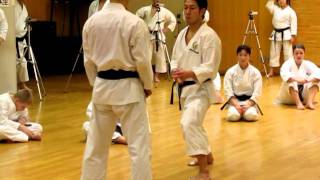 Senseis Yamaguchi and Nagaki demonstrates mawashigeri with block and counter