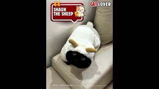 Shaun The Sheep🐈🐈🐈#shaunthesheep #kucinglucu #pecintakucing #videokucing #kucingoren #kucingoyen