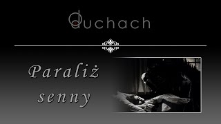 PARALIŻ SENNY | O duchach