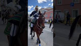 #travel #parade #horse #horseriding #portugal