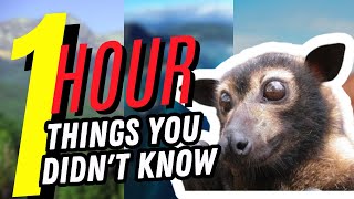 1 Hour Of Things You Don't Know🤯🕒 #3