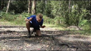 THE SEARCH: FOR THE TIGER SNAKE