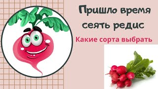 ПРИШЛО ВРЕМЯ СЕЯТЬ РЕДИС . Какие СОРТА РЕДИСА выбрать.