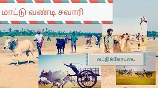 மாட்டு வண்டி சவாரி | யாழ்ப்பாணம்