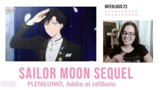 SAILOR MOON SEQUEL, Interludio 23, PLENILUNIO, L'addio al celibato di Mamoru con Haruka, parte 2