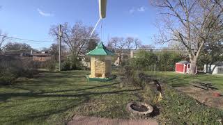 Bird feeder - SONY FDR-X3000, 4K @ 30fps