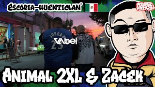 REAK/🇲🇽ANIMAL 2XL FT ZACEK "WOOOWW"🔥 SAQUEN LOS PARLANTES!!🔥@animal-2xl