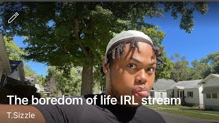 The boredom of life stream hosted by Mr. Steal yo cheeks