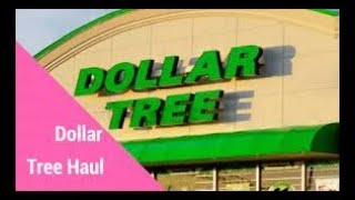 Dollar Tree Haul #218 | Nails, Decor, Snacks & Cleaning Stuff!