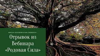 Вебинар «Родовая Сила» - отрывок из лекции.