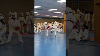 Taekwondo Sparring Highlights