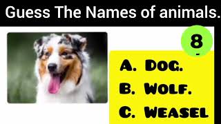 Can You Guess The Names Of The Animals| Quiz Game| General Knowledge