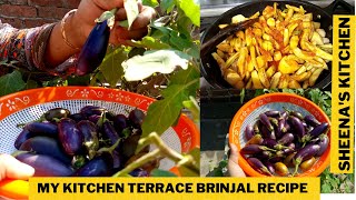 My Kitchen Terrace Brinjal (Baingan) Recipe//Freshly Plucked Brinjal Recipe// By Sheena's Kitchen