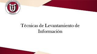 Técnicas de Levantamiento de Información