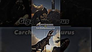 Ark Giganotosaurus Vs Ark Carchadontosaurus