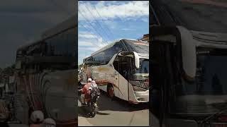 Ngevlog Bus Keren Telolet Basuri Pariwisata Gold Star. #busmania. #fypシ゚viral #fyptiktok