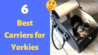 6 Best Small Dog Carriers for your Yorkshire Terrier